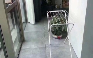 阳台装修经常风吹日晒，用瓷片好还是玻化砖好？