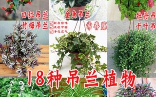 刚装修好的新房装天然气流程？