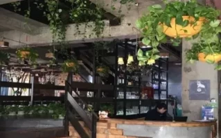 2023中国十大最顶级餐厅排名榜单揭晓！