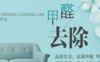 刚装修的房子放什么去甲醛最快？
