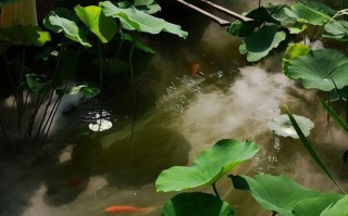 藏在CBD的江南庭院餐厅，吃湘菜也能如此浪漫