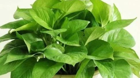 新房装修的几种错误方式？-第2张图片