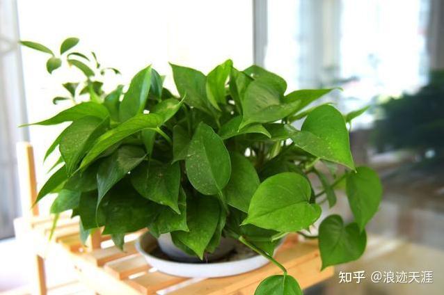 新房装修后多久才能住?-第3张图片 新房装修后多久才能住?-第3张图片