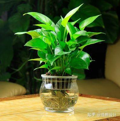 新房装修好后要多久才能入住?-第4张图片 新房装修好后要多久才能入住?-第4张图片