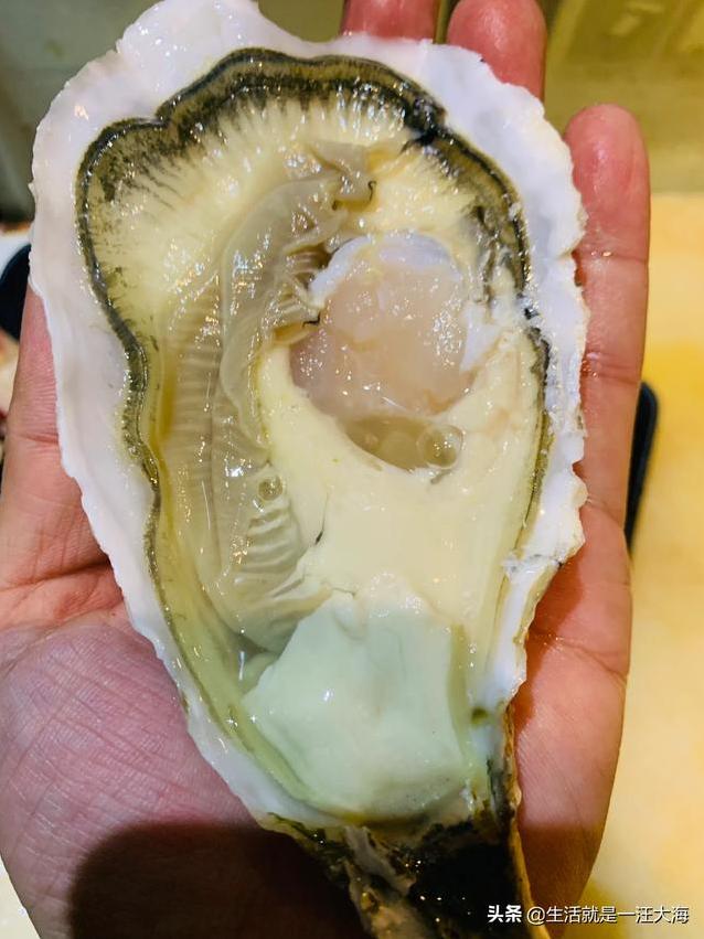 合肥有什么好吃的餐厅,比较浪漫的?-第6张图片 合肥有什么好吃的餐厅,比较浪漫的?-第6张图片