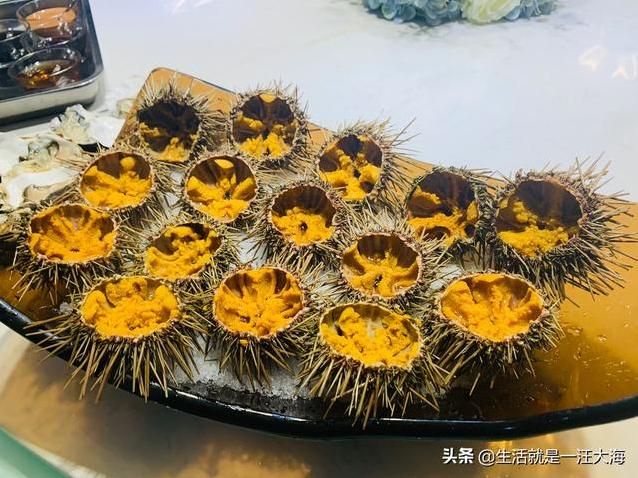 合肥有什么好吃的餐厅,比较浪漫的?-第12张图片 合肥有什么好吃的餐厅,比较浪漫的?-第12张图片