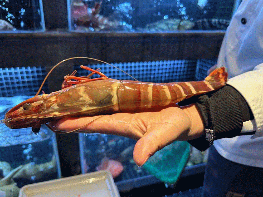 26年老牌餐厅装修出“大哥的包厢”，老杭州的重要饭局总有几次定在这里-第26张图片