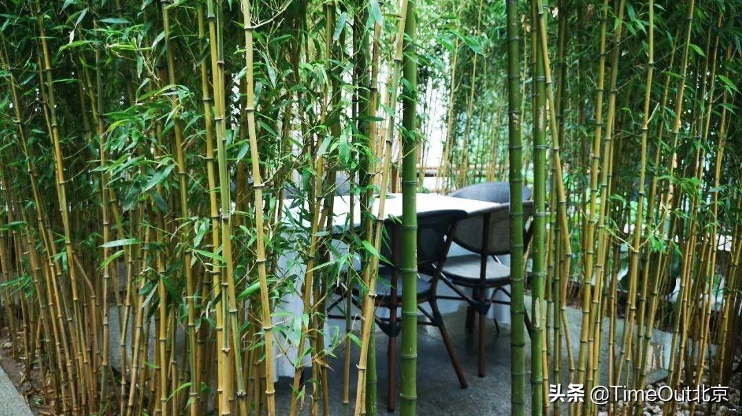藏在CBD的江南庭院餐厅,吃湘菜也能如此浪漫-第4张图片 藏在CBD的江南庭院餐厅,吃湘菜也能如此浪漫-第4张图片