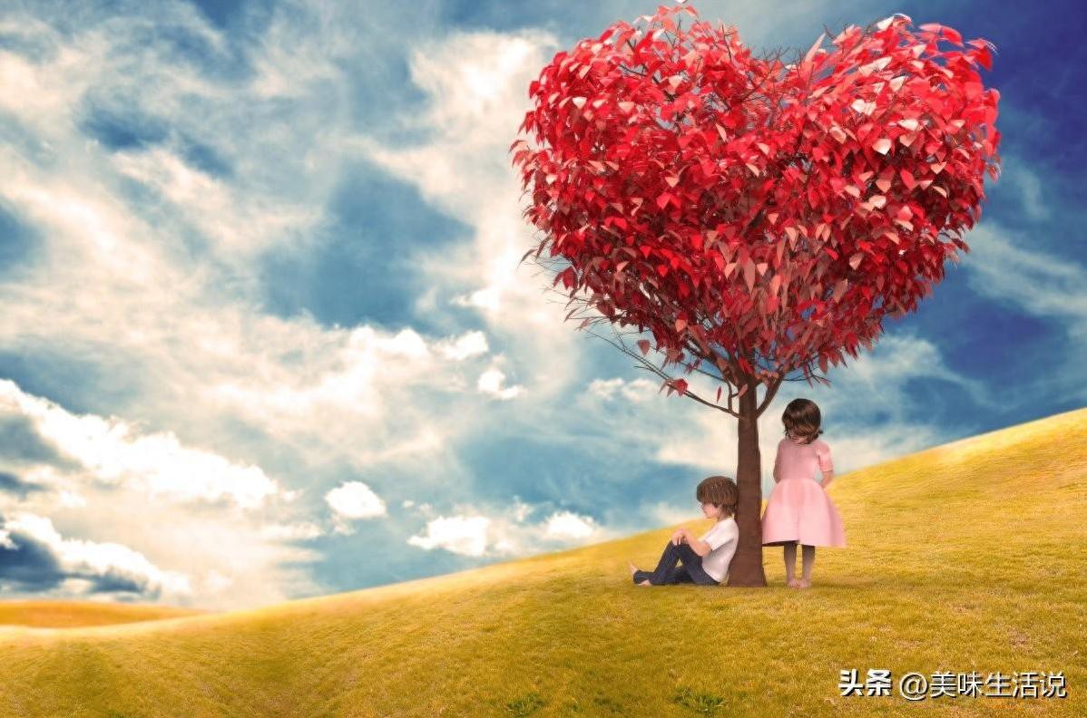 布满鲜花浪漫气息十足的西式餐厅,菜品美味又不失格调很适合约会-第1张图片 布满鲜花浪漫气息十足的西式餐厅,菜品美味又不失格调很适合约会-第1张图片
