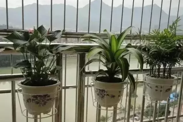 阳台小花园怎么布置好看？-第2张图片